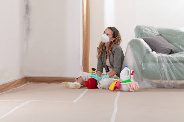 Reliable Mold Cleanup contractor in South Haven, MI by WQB Mold Removal